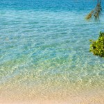 Best Tweets 090211 Tropical Beach Blues