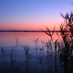 Best Tweets 112511 Lake Sunrise