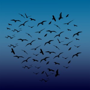 Best Tweets 21712 Heart-Shaped Birds in Flight